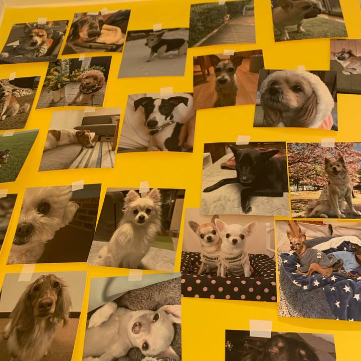 875111b9 fc97 4bbb a9c2 c2872224bb0a 1774169492427