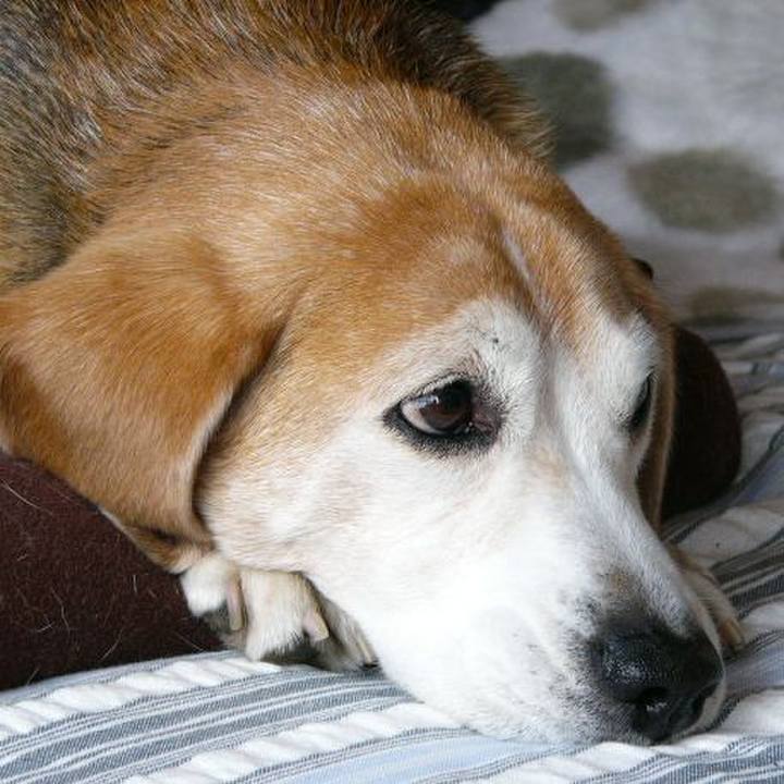 87511d93 0fa8 4350 8dde e9286e8d2cda 1645059465079