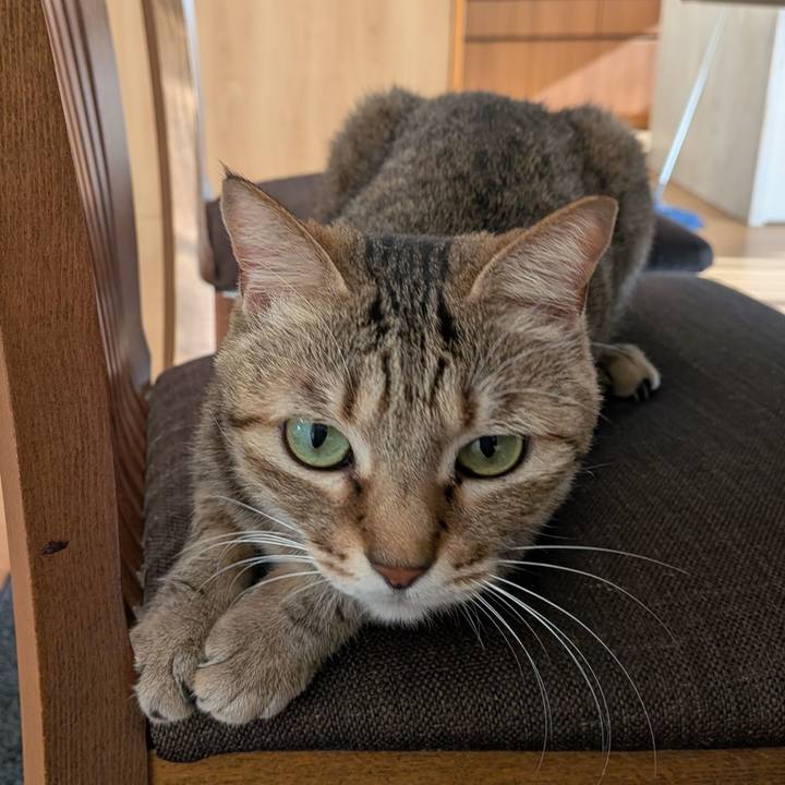 87512ea4 430b 40c1 a01f 27571eabeed4 1768085591795