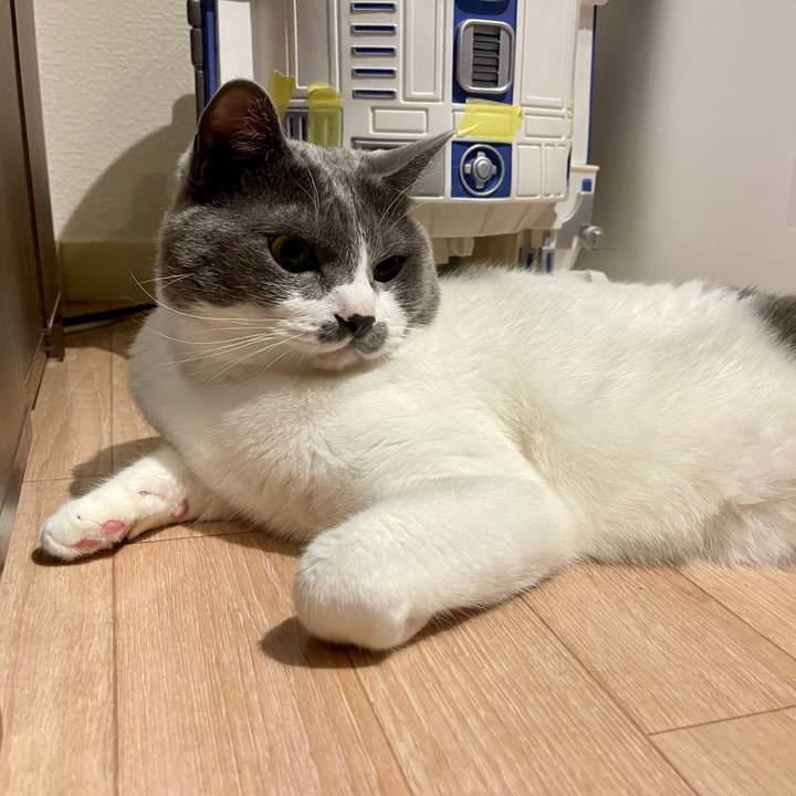 87515752 8a90 4c27 b799 1bf699a7ad30 1653477261372