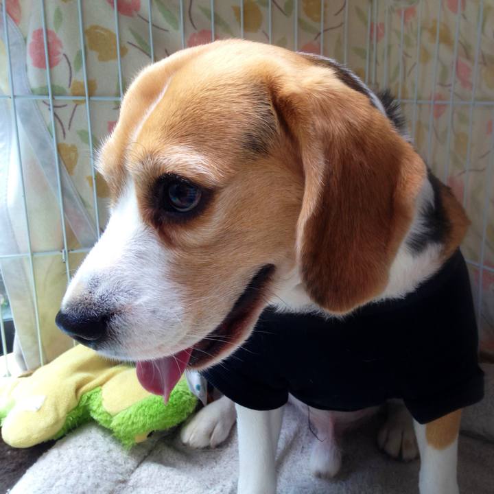 875166a3 7728 478d 835a a40e7ff7d8c3 1744185467829