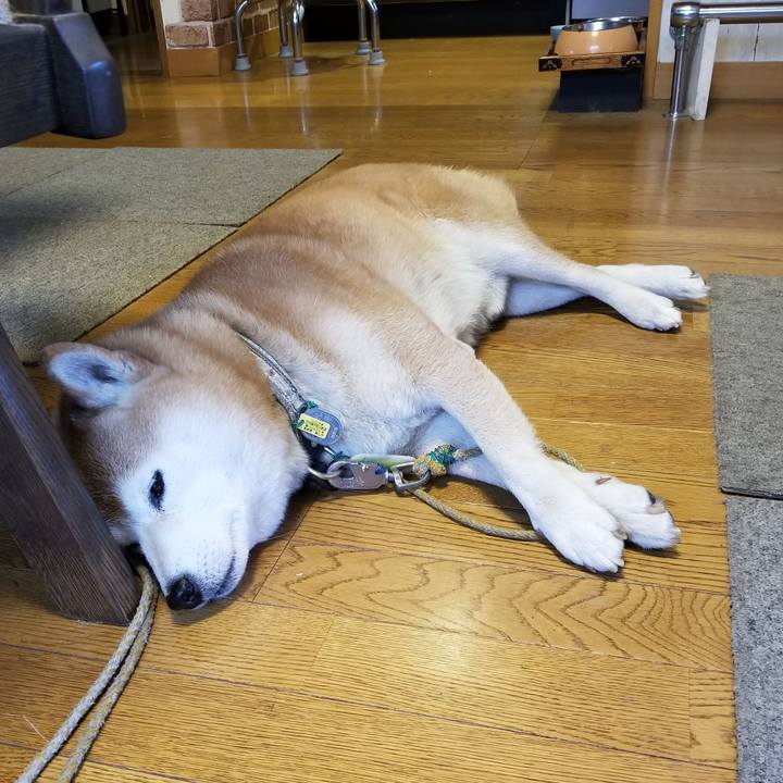 87516852 66cf 4a4b 9dc8 1e0d5e9a97c0 1668915865301