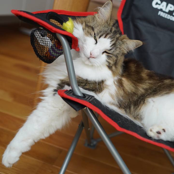 87516996 79e6 4f99 8f4c e12ee4a5d375 1595207075673