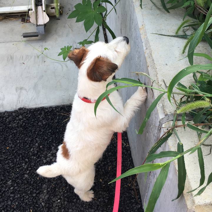 87516d86 5ea5 4b19 a582 cb34c298abb8 1534126209590