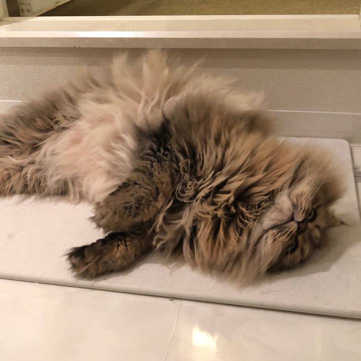 8751e9ab f8b1 45b7 a3b9 a96ba3b8cd50 1544933118618