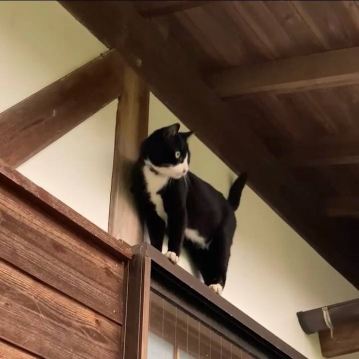 8751ee6f a85d 4c15 ab9d 7e3ddce383d9 1729109017021