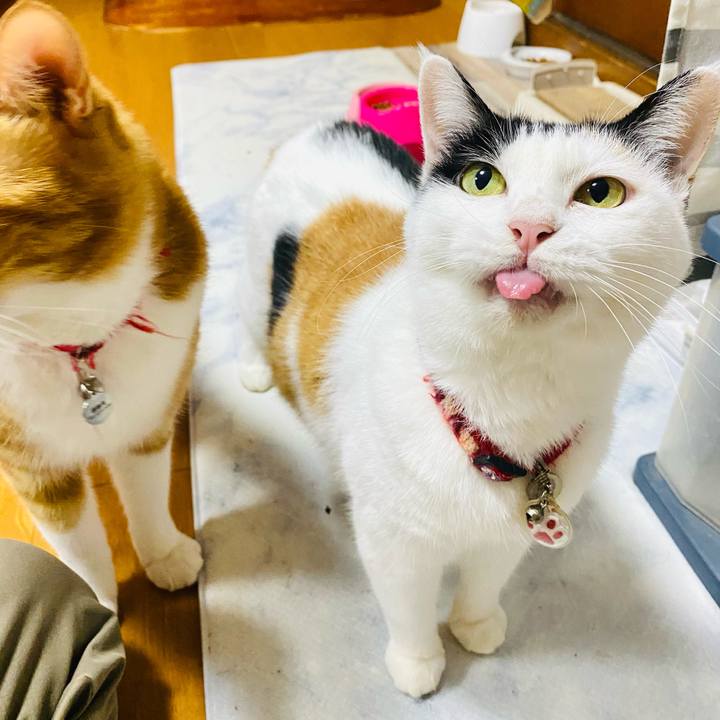 8751ee71 d0f0 468f 9c63 4d8d21034ab2 1728908014968