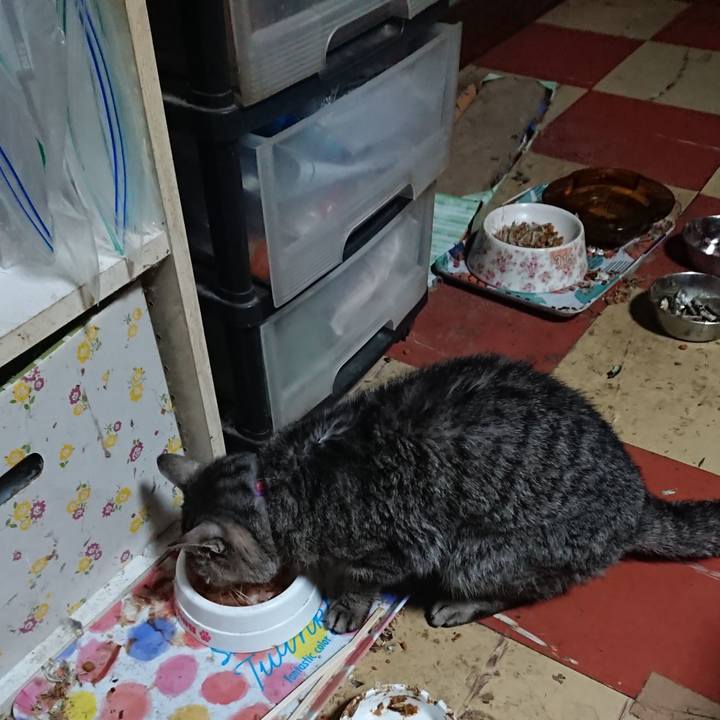 8751fe59 36a2 4c91 ae79 e3bb88c2a655 1580546268602