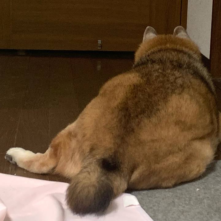 8752190a 82b1 419d 8ad8 dbf20a7526fc 1665916531058