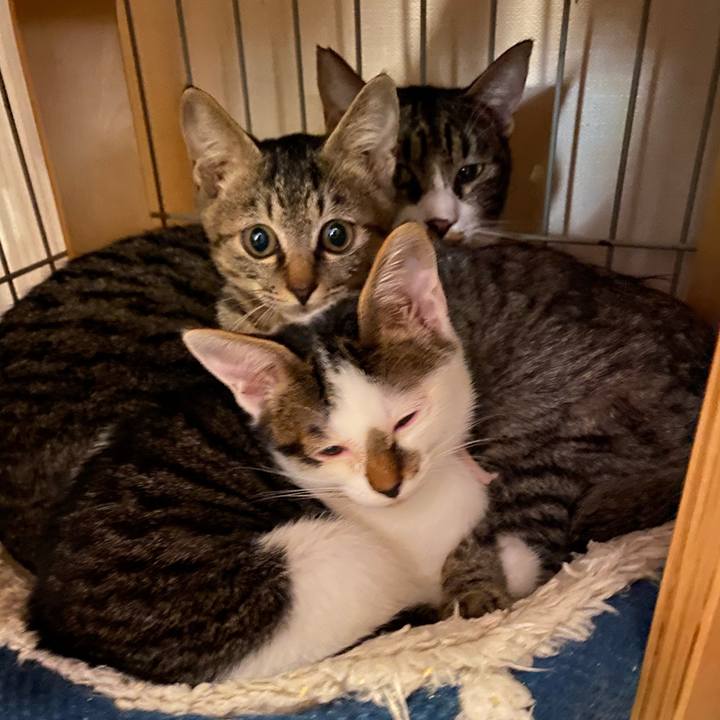 8752276b ae2b 4878 ad67 d1775685d055 1604183672686