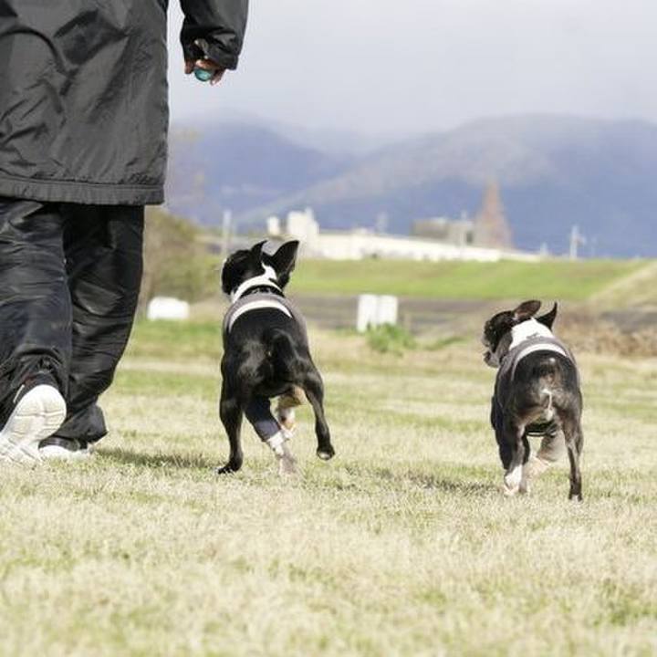 87524e3b a040 40de 833e 899f3c661b2c 1546154729338