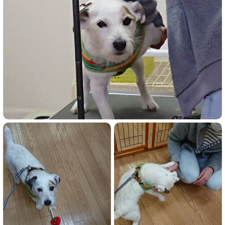 87527859 2fad 40cc 8a9e b92fc5779f82 1522852857007