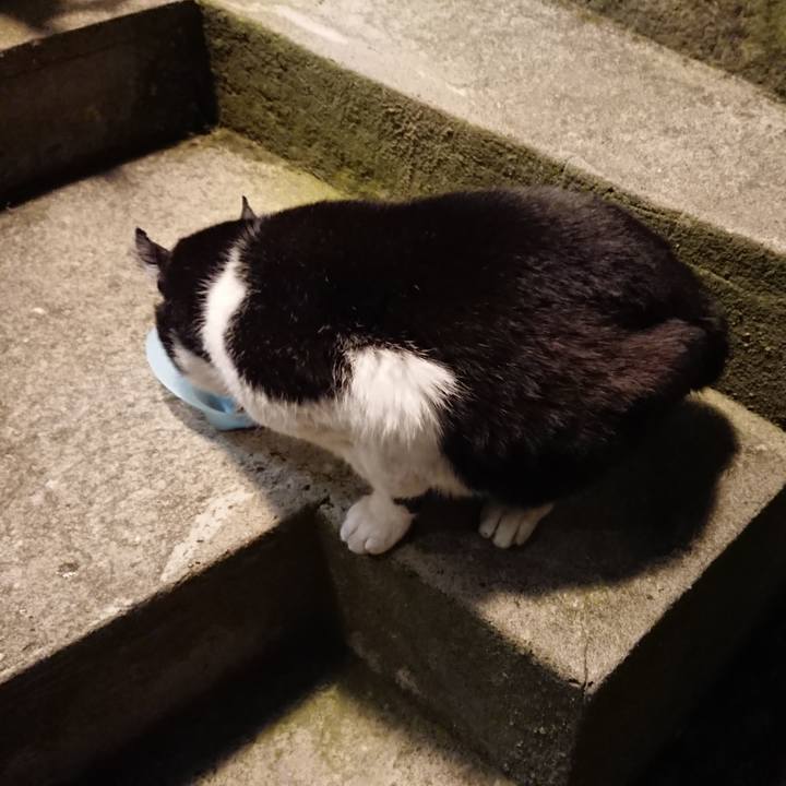 875278aa 11da 4a61 a191 356759c135fd 1681473512046