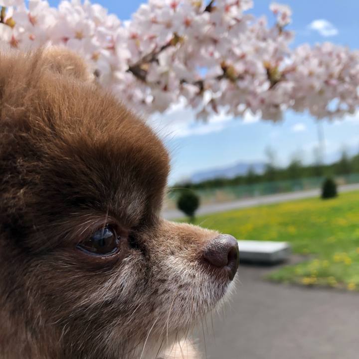 8752ab31 6df0 4eaf 921d ed186bc7ade9 1588677926684