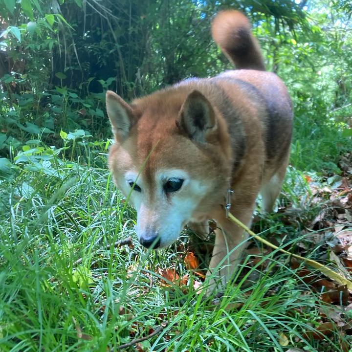 8752afcb 8484 4e47 a7af 946604b60ff7 1651292211662