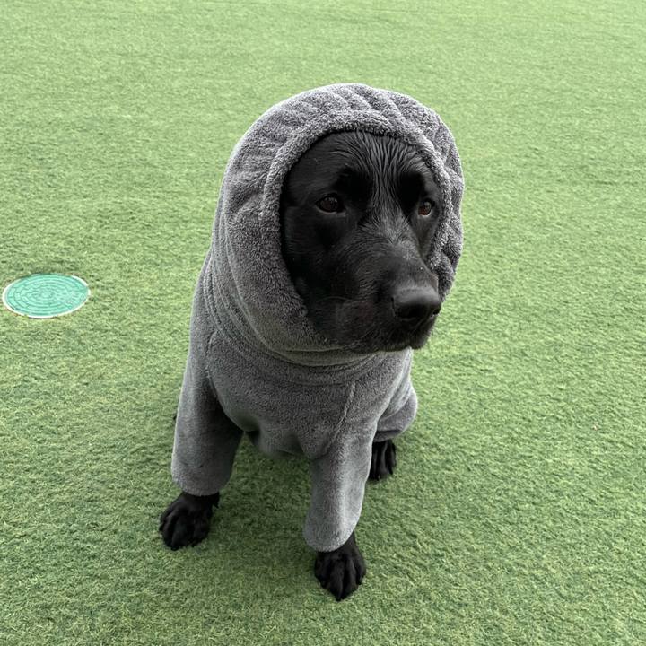 8752b685 5288 46e7 bd9a 802a1ba10692 1776374527794