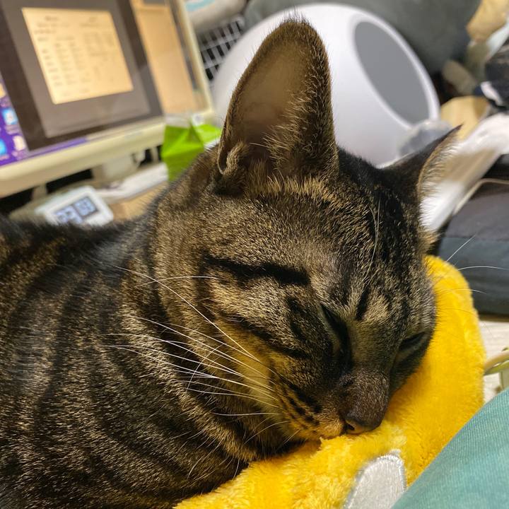 8752e8f2 db9b 47eb baca 933005f9abba 1575643583291