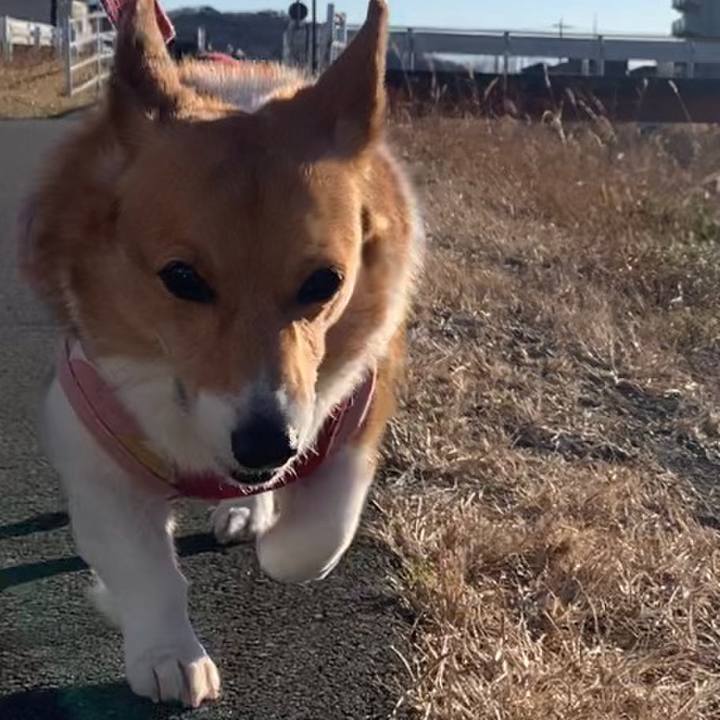 8752f5ea 0e85 4799 97b9 afbbe3b21cf3 1674290045038