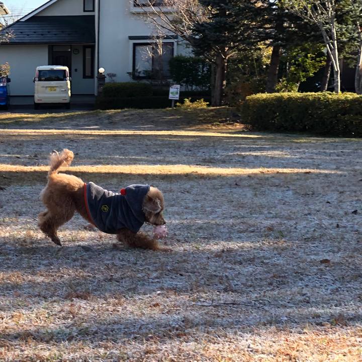 87530862 1604 4923 8ee7 c6f07b4bc76f 1576493447956