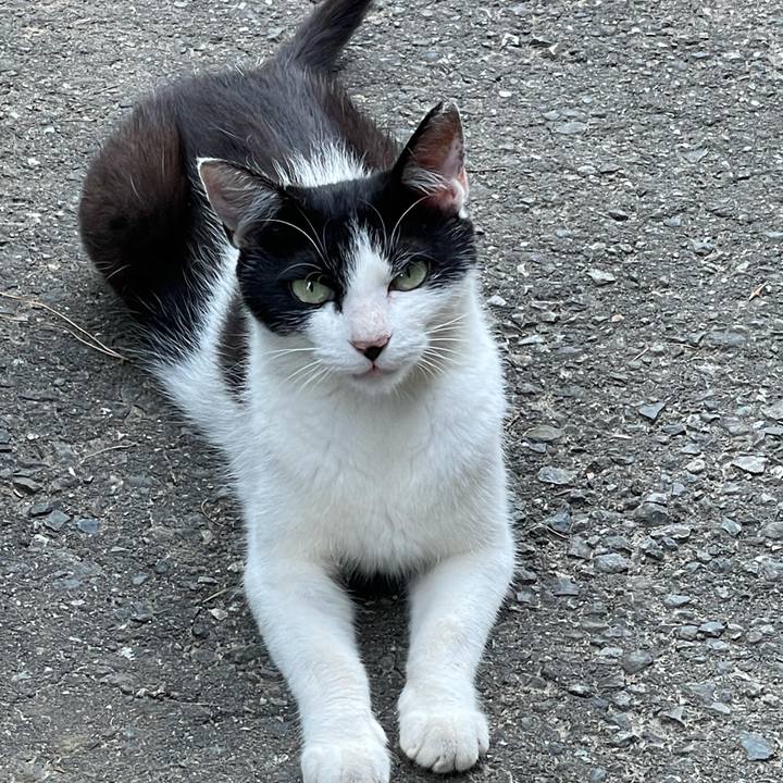 87531002 e274 4bea 9c54 596ad5986d04 1627519349922