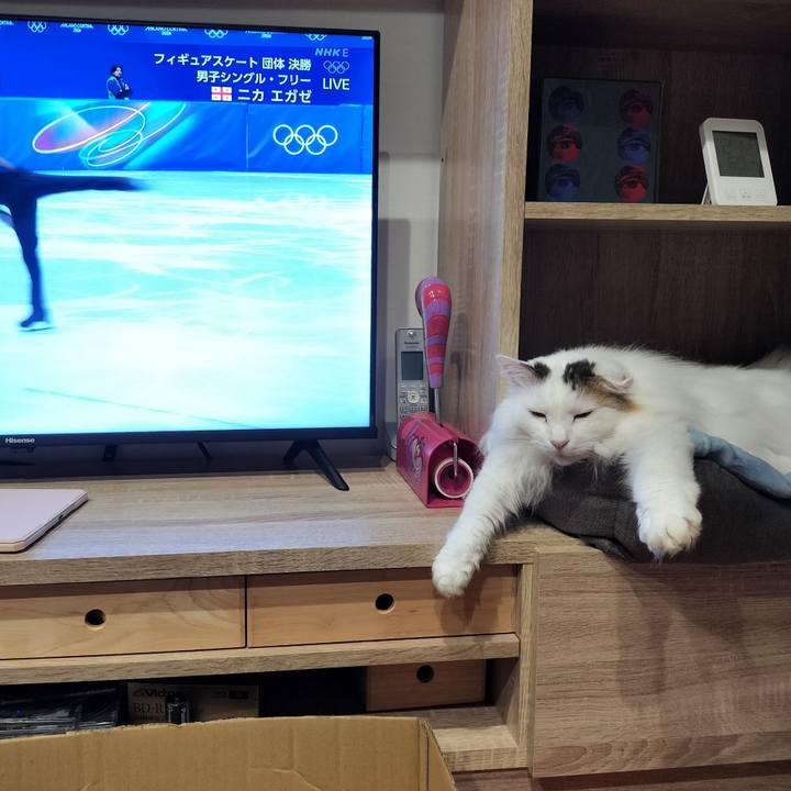 87531c1d b1bc 423c 89ad 1b375fd246eb 1770585516747