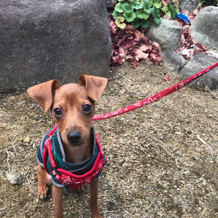 87532cfd 9b7e 44f2 bb1d bb28c16de035 1671948141422