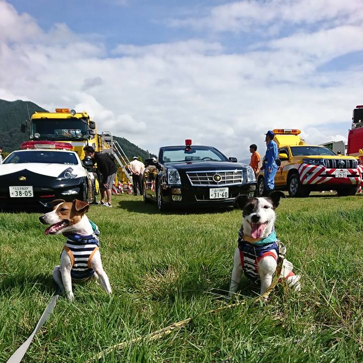 87536c1b f861 4afb 9333 e1b4c580d8d8 1537752343408