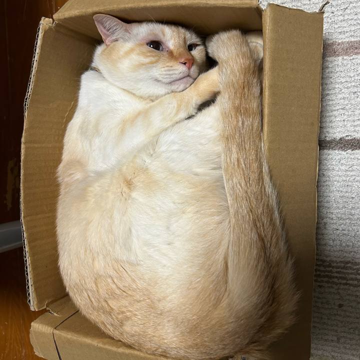 875389a7 cda2 4101 b8db dc80951bad97 1765350626003