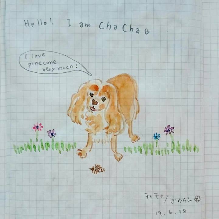 875393b7 7eb9 4bb7 8a38 c912a4874d59 1560850649246