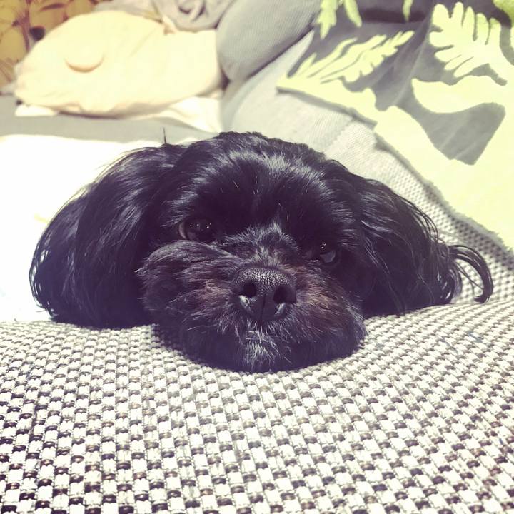 87539443 ec36 45e5 8789 3aa1de3fda9b 1556117002090