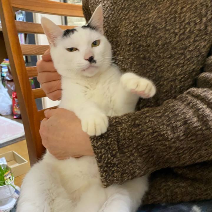 8753a69f 1363 490b 8e1e 07502ccf023a 1613301324173