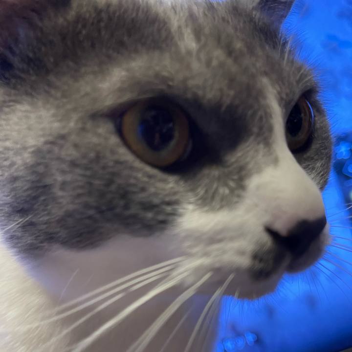 8753b0f5 ce18 4b5b a420 d77a8aa920b6 1663153085104