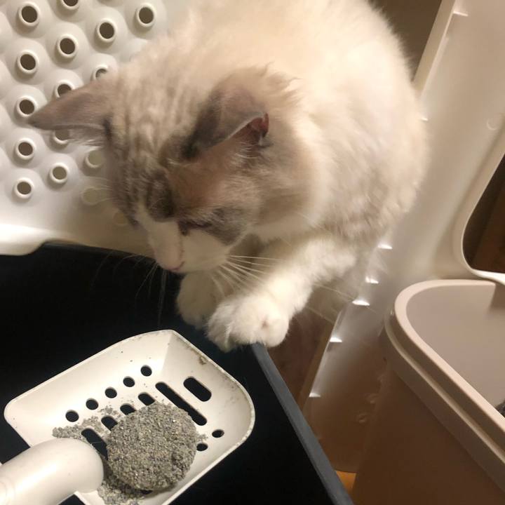 8753ea27 b6a3 4897 9b0a c924afc8746d 1570074455893