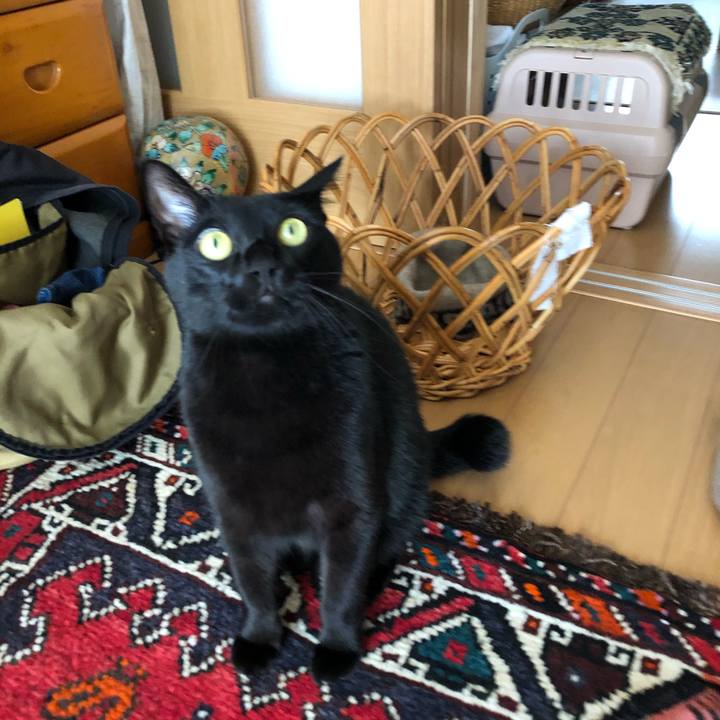 8753efb9 6a13 43e7 84e1 977b37bda440 1572659033312