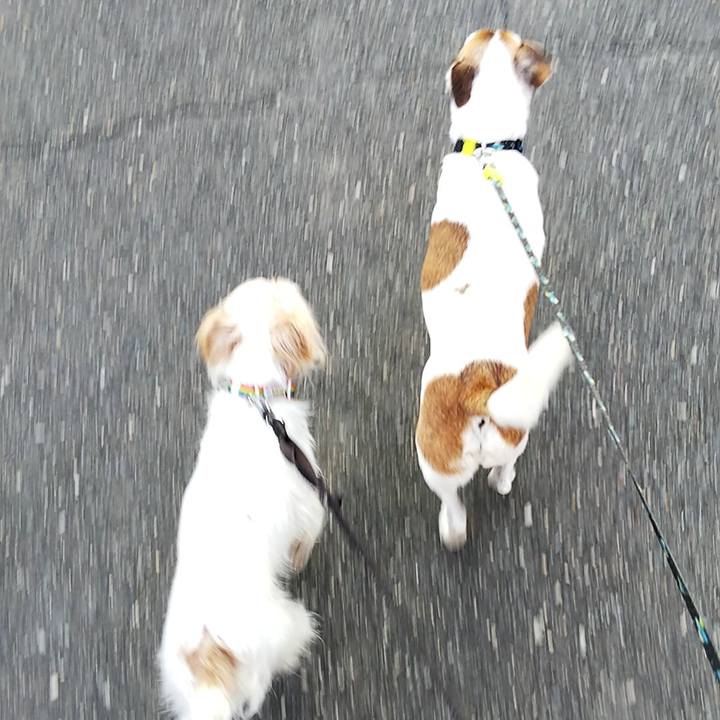 87546361 1213 451e 8381 9a62759a1aa5 1531951936930