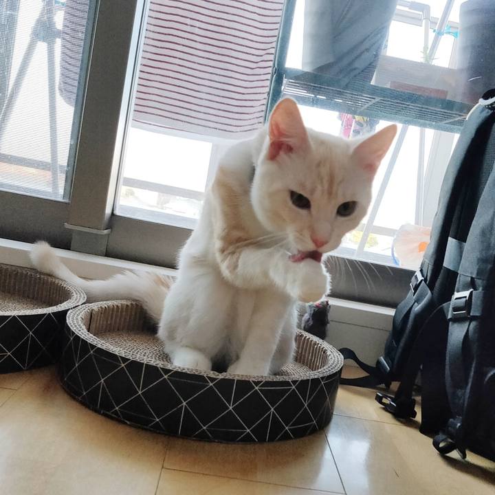 875471c4 bd89 4f3d a963 fca0c723c755 1633319714817