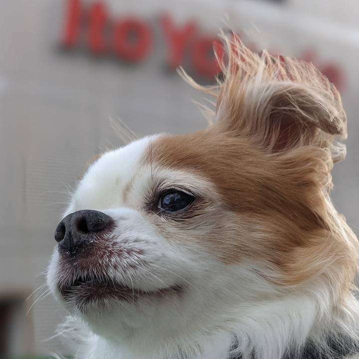 8754733e 48e4 4edc 8f65 f002dd9c7f6f 1620148566214