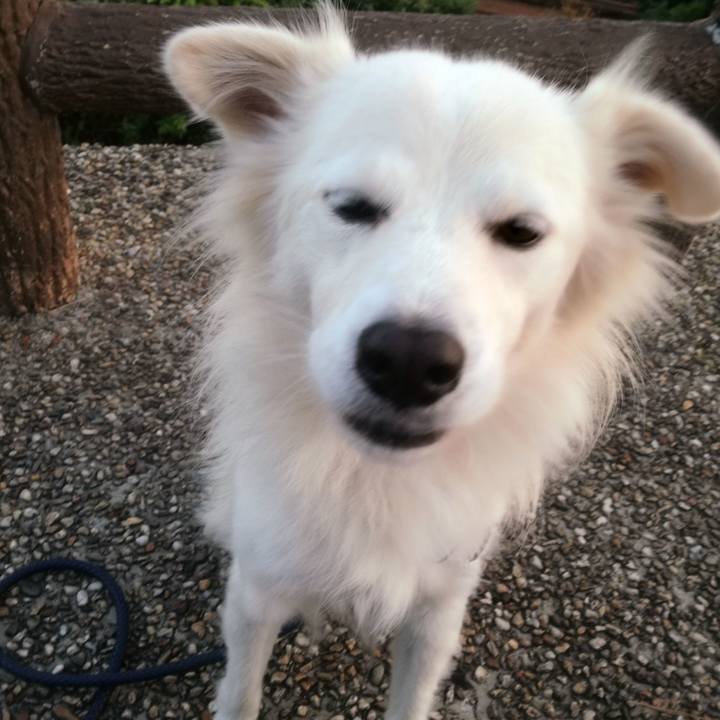 8754ac4e 06e9 411a 8db0 f1e90edfbf73 1509009223280