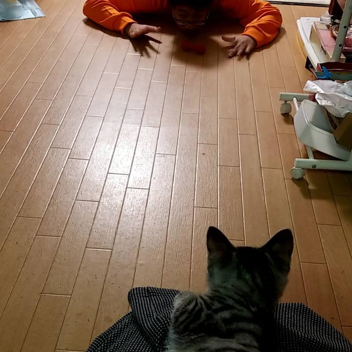 8754b8df e9eb 452c 9f40 084fca7d54a3 1664879135375