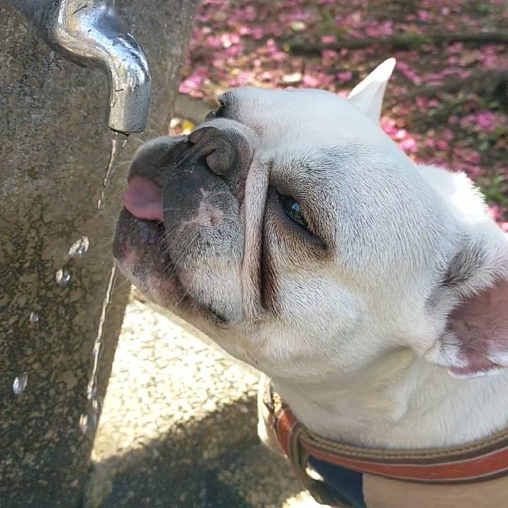 875504ac 6071 4df5 9bcc 29d4df494983 1638162412336