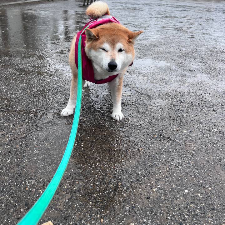 875523ff 8f93 485c 8740 77f9e9235086 1711422224807