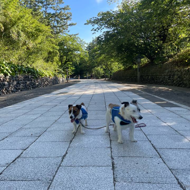 8755348b d660 4192 9027 f27c43f6ef6e 1752965135817