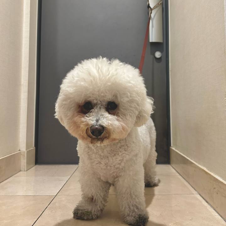 87556c1b ac54 4c2b 9615 0e1f9ee7903c 1767927490035