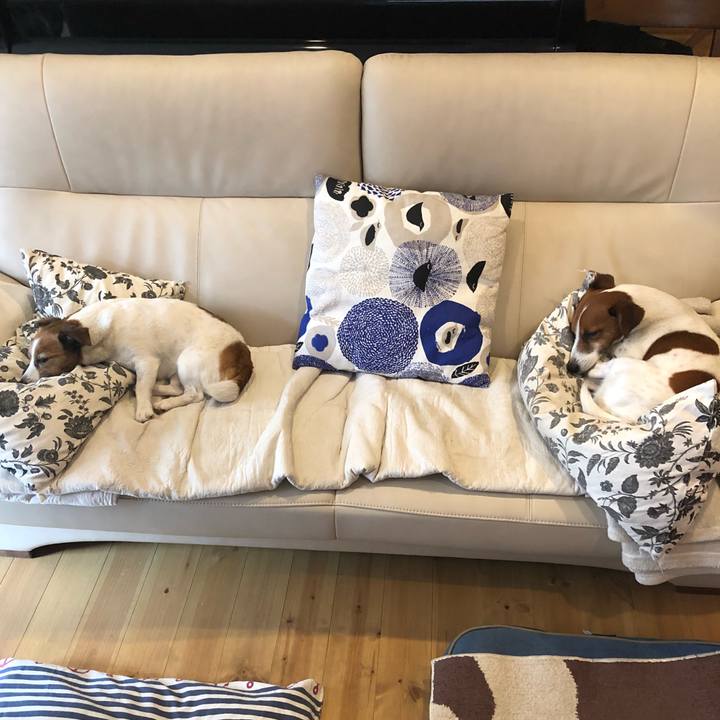 87558662 fc70 4e3b a4c7 cf0bb445ced9 1524635369097