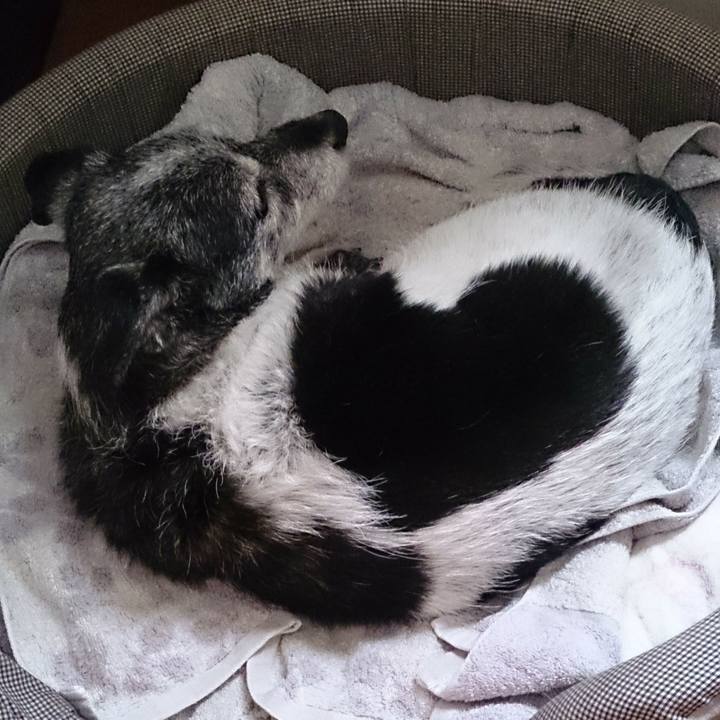 87559000 fde2 4461 b00b a484f1ddf1f5 1539387972505