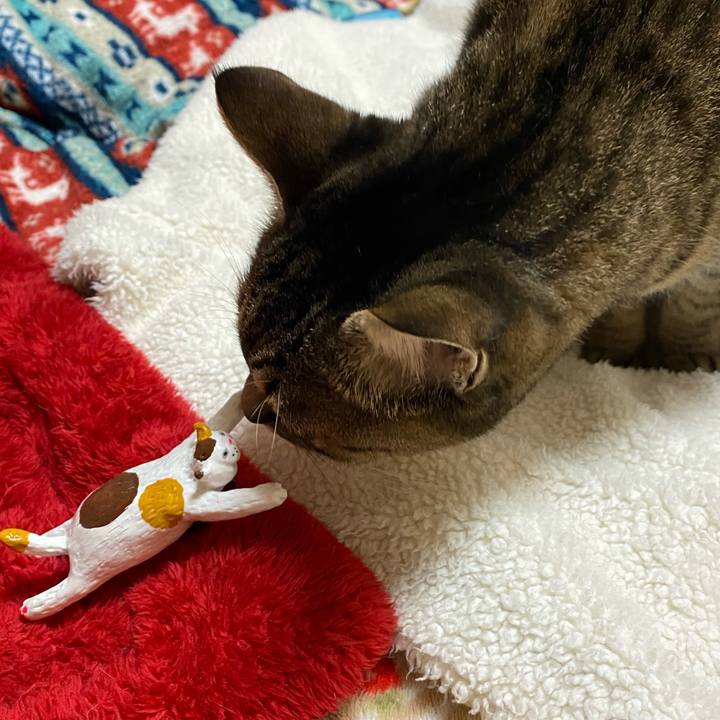 8755cf3c 2264 42d5 bab6 89a0f8ab71d0 1766158092078