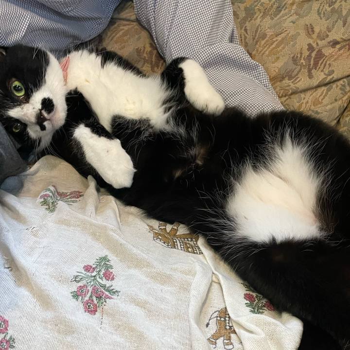 8755eae6 827f 4d1d a7d0 c1ca13f6e826 1760619283610