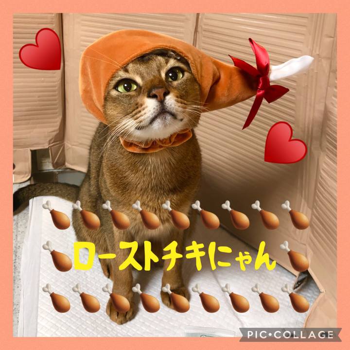 8755f10a 1ec5 4470 afee 5268ba608bfd 1703417348348