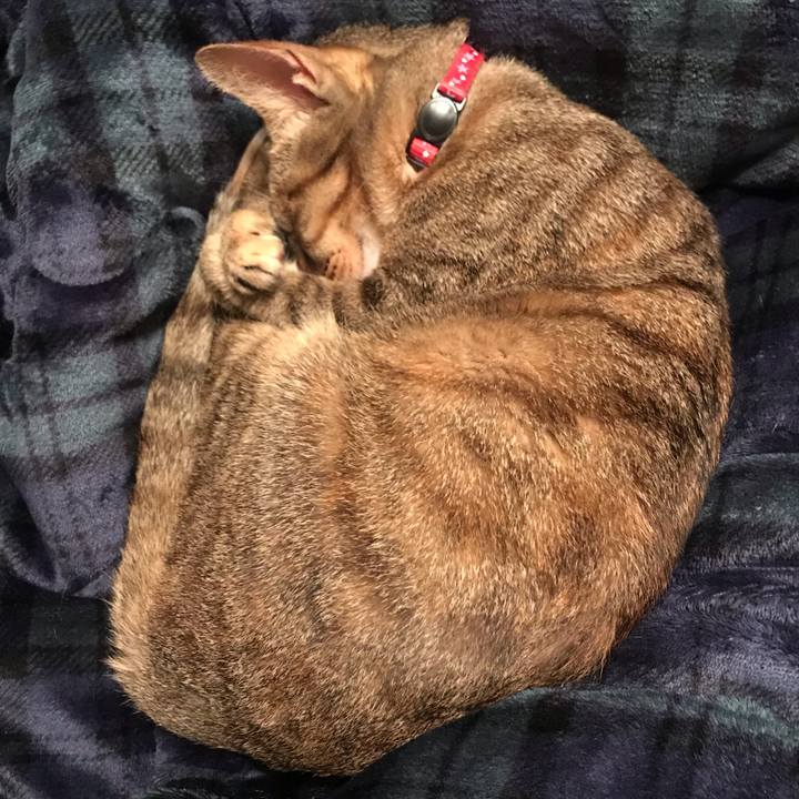 8755ff06 0c35 4235 ab49 dff3eae82e3e 1587305184245