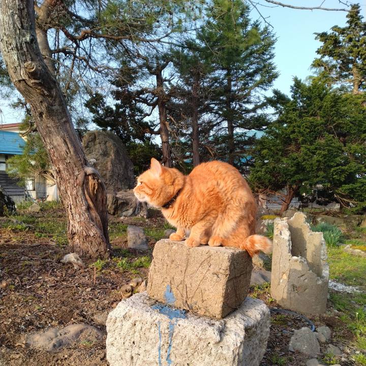 875602ba 021e 4542 845e 436a287763d1 1681165714485